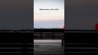 Malecon de La Paz B.C.S. #shorts #bcs #lapaz #timelapse