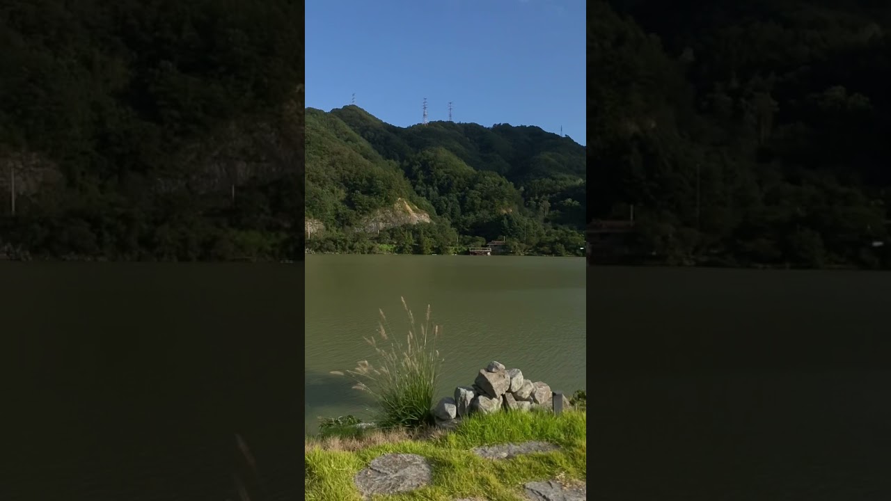 가평 골든트리 뷰(#가평골든트리 #골든트리 #가평리버뷰카페 #goldenTree #RiverViewCafe)