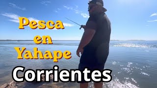3 días de PESCA, muchos PACUS y SALMONES!