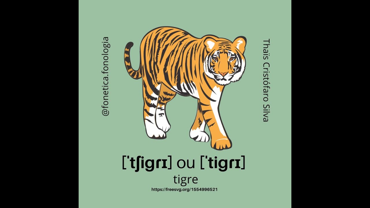 TIGRE: Qual a melhor pronúncia [ˈtʃigɾɪ] ou [ˈtigɾɪ] ? - YouTube