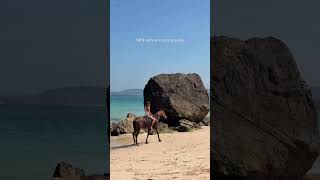 Sumba without trending audio. #NIHI #Sumba #LuxuryTravel #Indonesia #Luxuryho #luxuryresort
