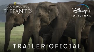 Segredos dos Elefantes | Trailer Oficial | Disney+