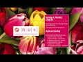 Capture de la vidéo Musik Am Sonntag Vom 9. Mai 2021 – Muttertagskonzert