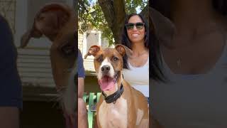 Valley Fever Is Spreading, Affecting #Pets and People @UCDavis