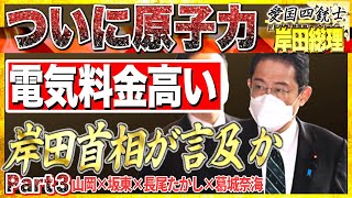 【電気代朗報？】原子力に言及する岸田首相はどう動く…/脱炭素を目指すのに環境破壊をする緑●募金No3 愛国四銃士 2022/4/13　山岡×坂東×長尾×葛城