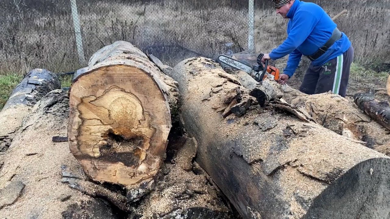 Stihl ms 260 cutting firewood | Drujba Stihl ms 260 in actiune - YouTube