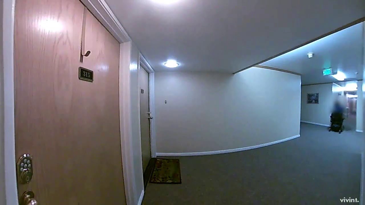 Stolen Package caught on Vivint's Doorbell Camera YouTube