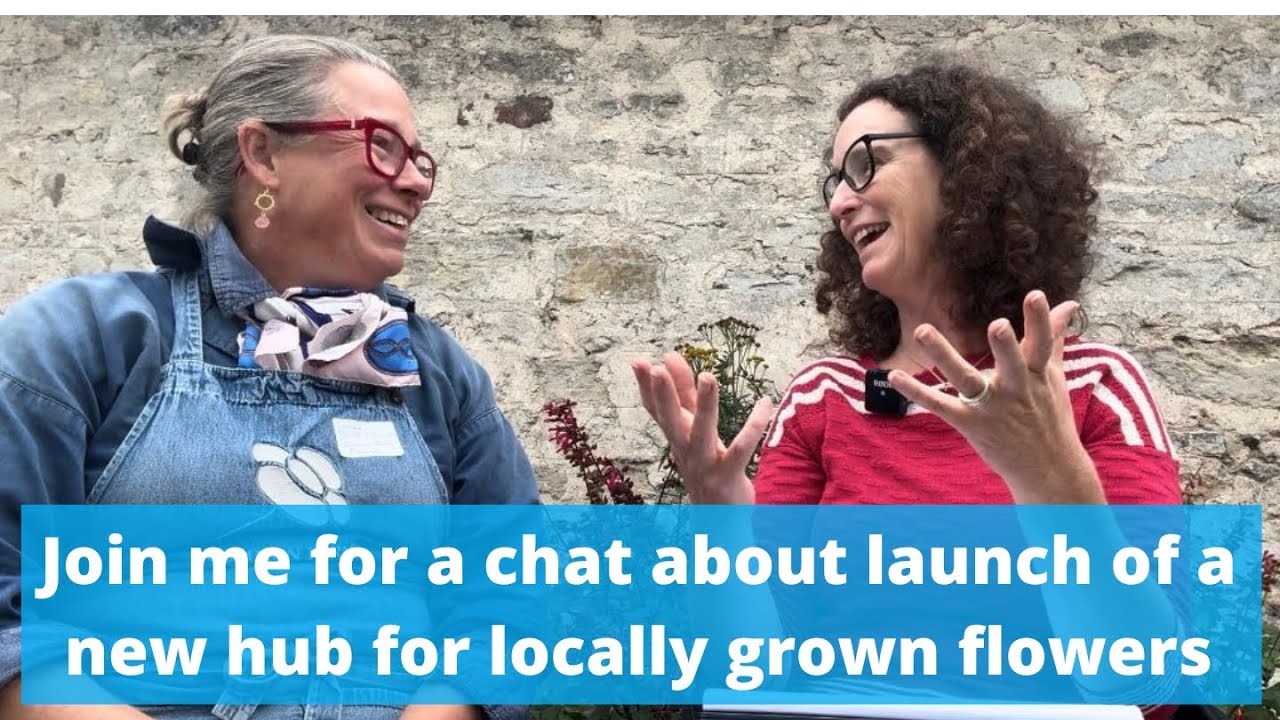 Launch of new hub for locally grown flowers for growers in Dorset, Somerset, Hampshire and further