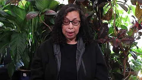 Nancy Correa "Sarah Undefeated"