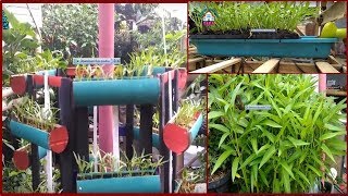 # TIS # KANGKUNG LAHAN SUPER SEMPIT BISNIS YG MENGUNGTUNGKAN !