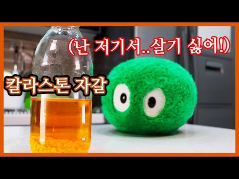 │<strong>마리모</strong> 어항│물고기어항│다이소칼라스톤│다이소어항│
