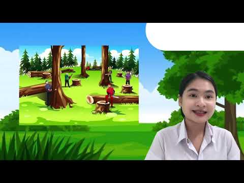 หน่วย ต้นไม้ที่รัก วันที่ 5 เรื่อง โทษของการตัดไม้ทำลายป่า
