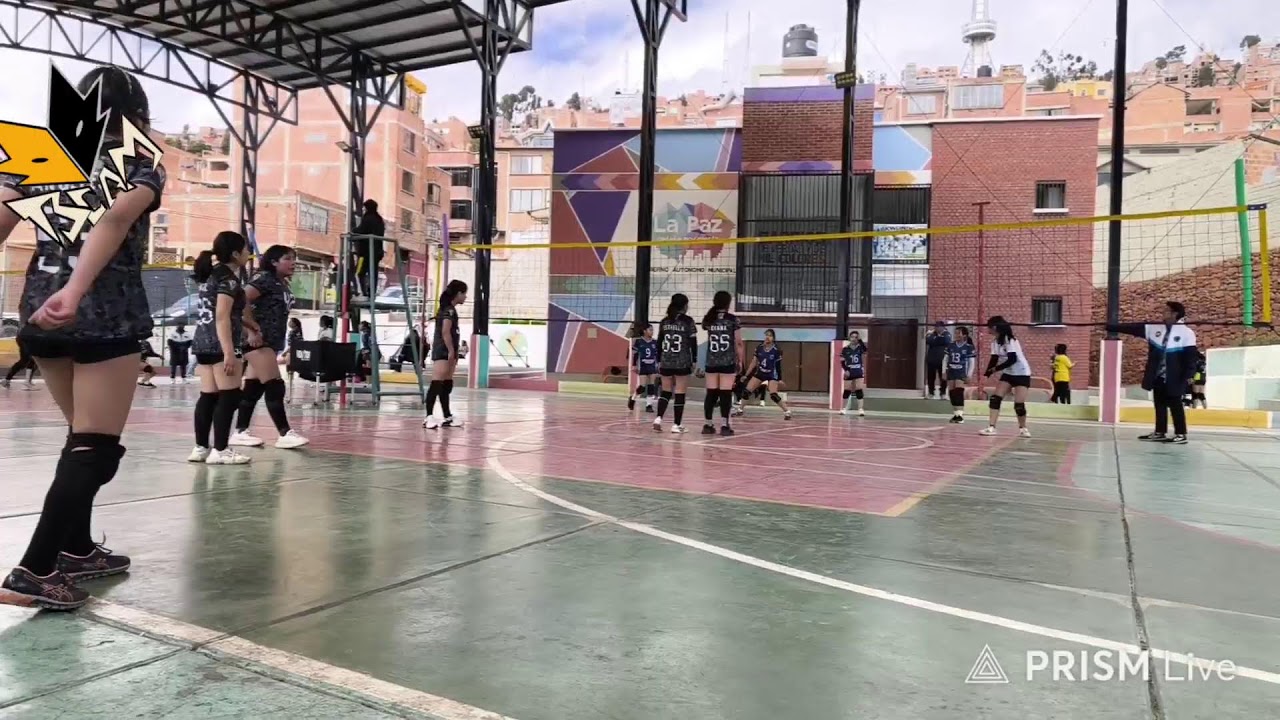 Transmisión en directo de VOLEIBOL