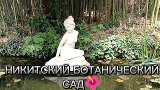 ПРОГУЛКА ПО НИКИТСКОМУ БОТАНИЧЕСКОМУ САДУ🌴