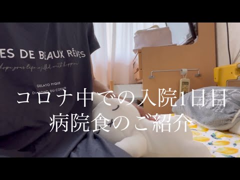 🏥【コロナ中での入院生活】　ミッフィと一緒に　ミッフィールーム　Hospital life during corona　楽しく入院　癒しの入院　入院VLOG　病院食　入院食