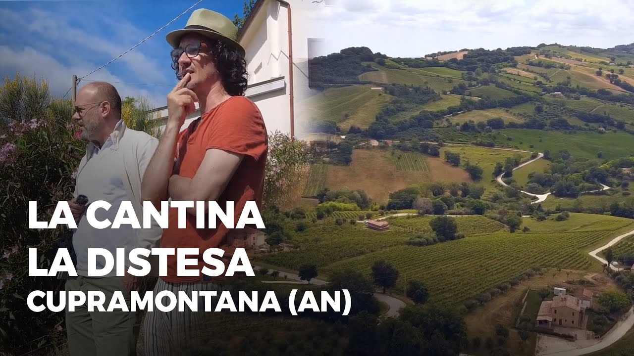 La Cantina La Distesa - Cupramontana (AN)