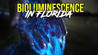 Bioluminescent Clear Kayaking in Florida - Get Up And Go Kayaking