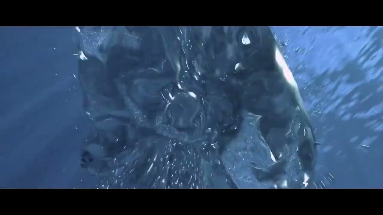 Cape of good films 2022(1080p)