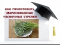 КАК ПРИГОТОВИТЬ МАРИНОВАННЫЕ ЧЕСНОЧНЫЕ СТРЕЛКИ