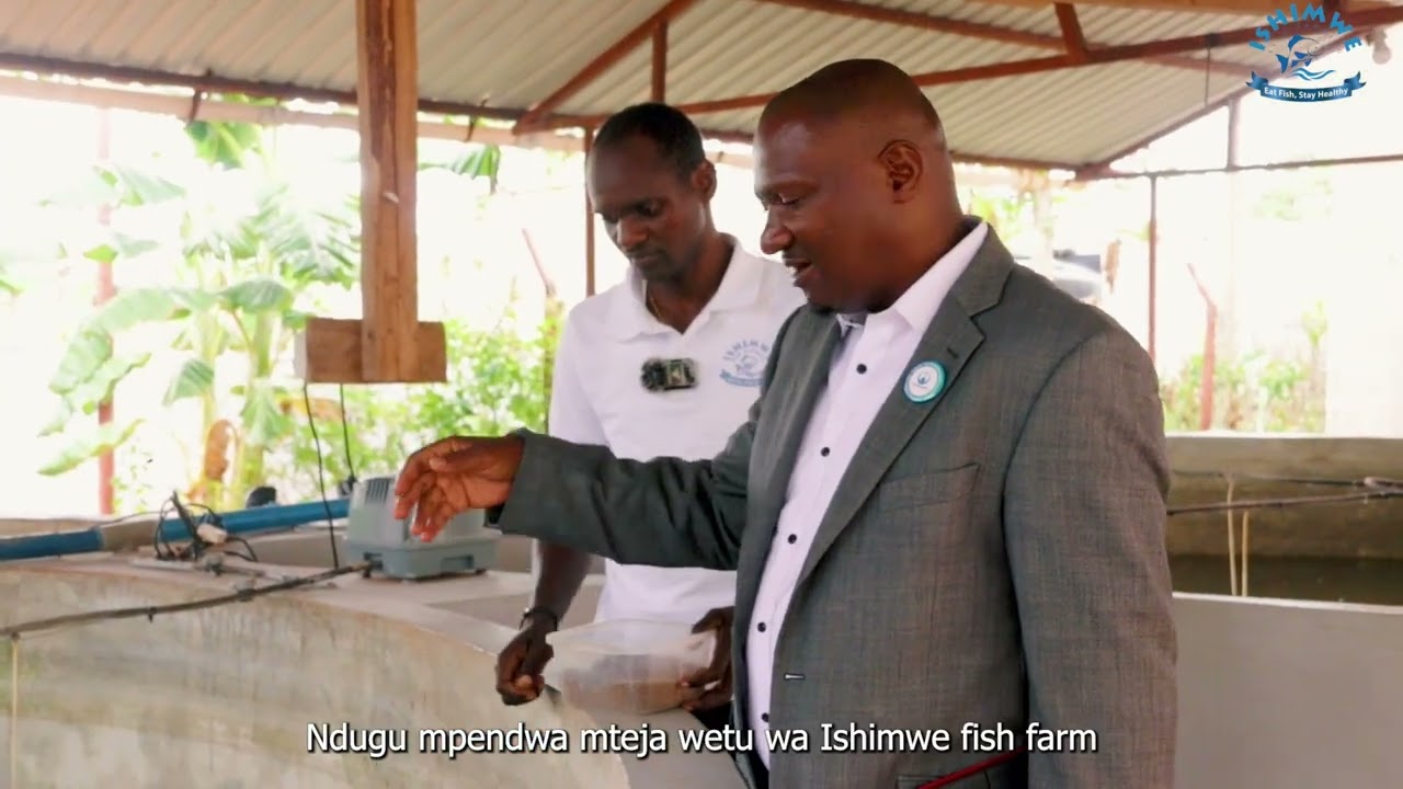 ISHIMWE FISH FARM