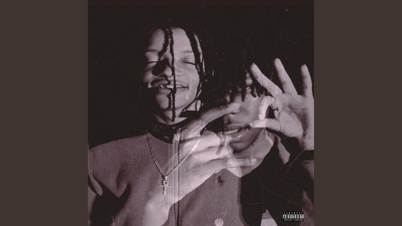 Guarda Wild su YouTube Guarda Wild su YouTube