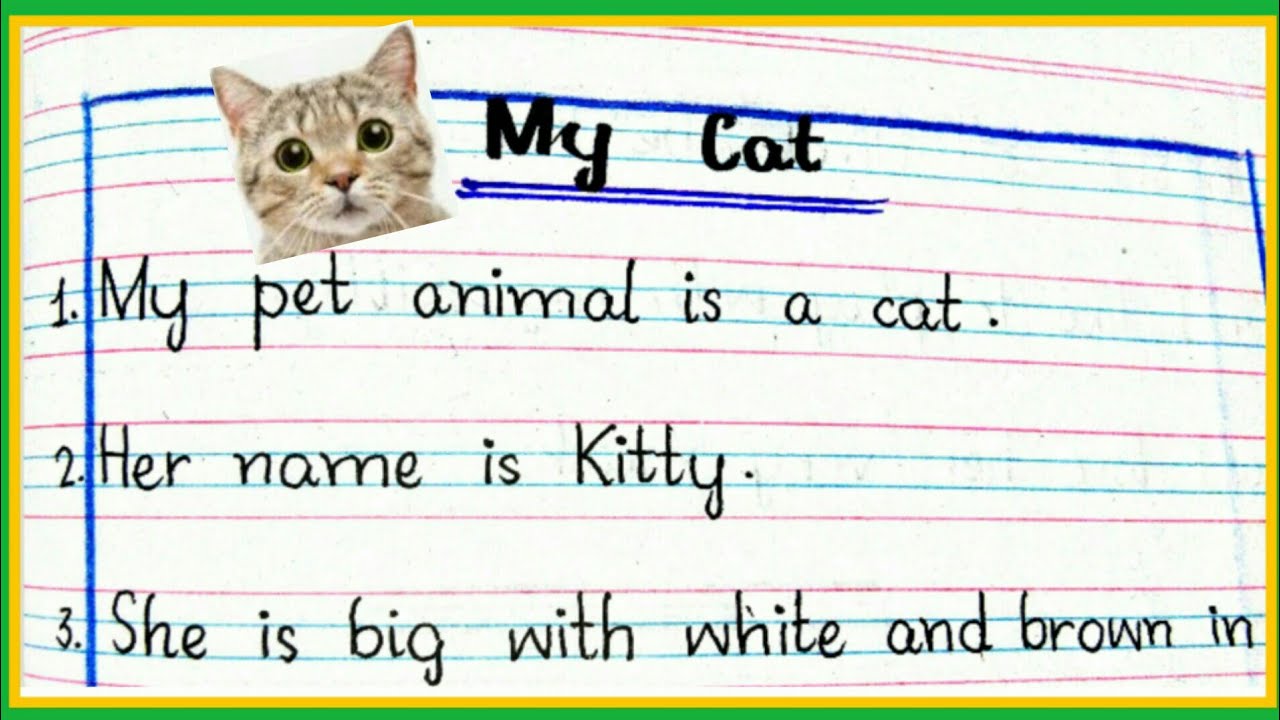 write a short essay on cat