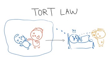 Tort Law in 3 Minutes