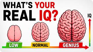 Only 9% Can Pass This IQ Test 🧠