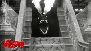 Having a Pet Dragon | The Munsters