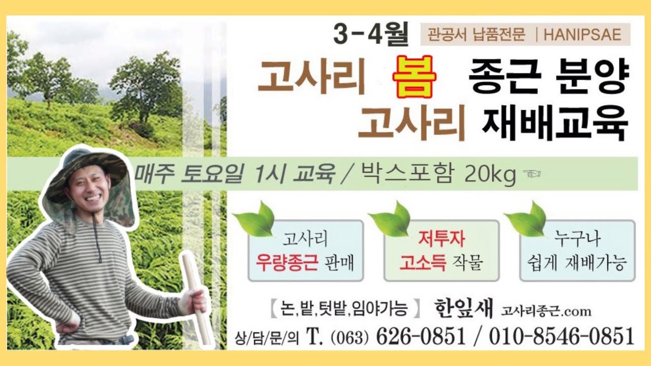 고사리종근 분양 작업현장 | 고사리재배 관리 방법 알려 드려요!