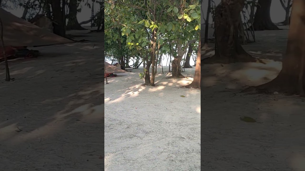 camping ceria pulau dolphin, let's go !