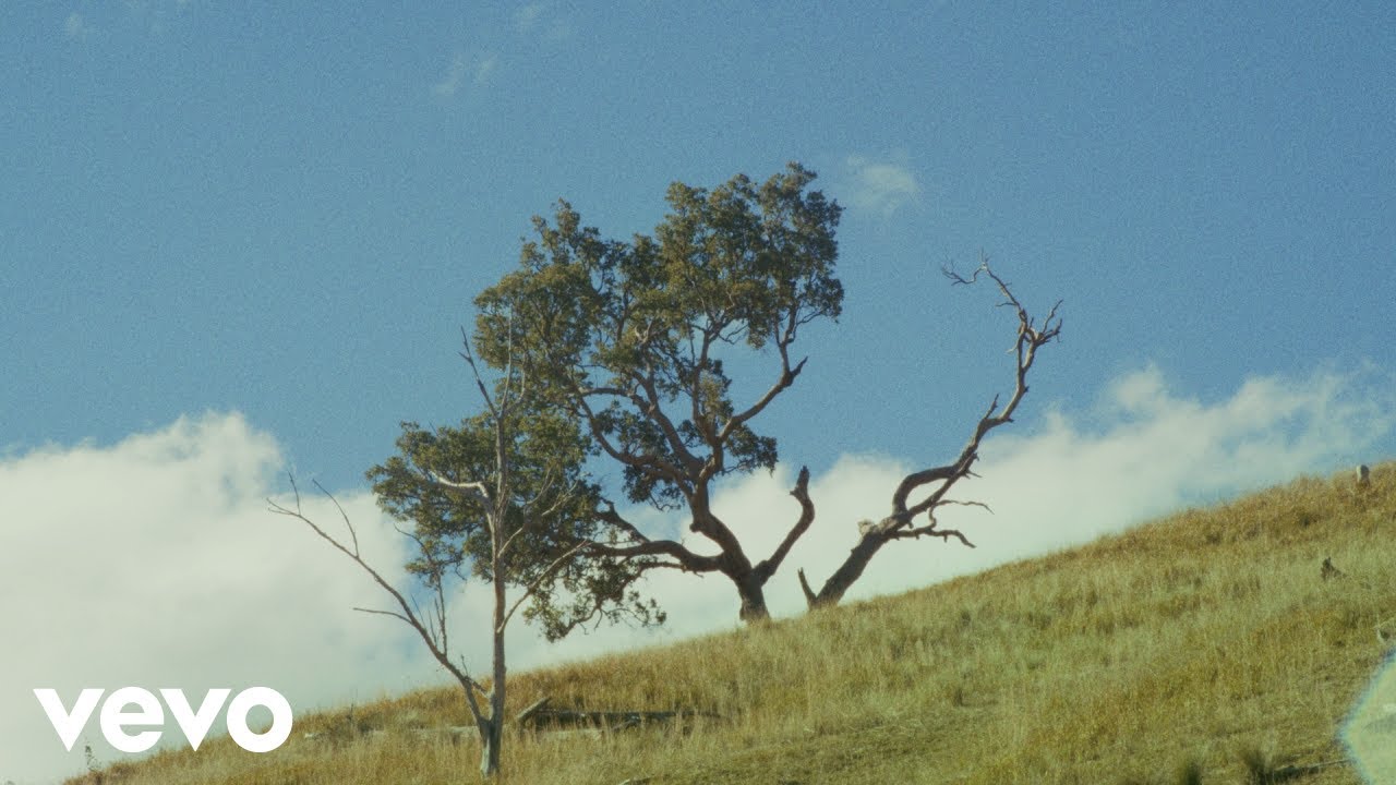 Watch Chuey - sometimes on YouTube Watch Chuey - sometimes on YouTube