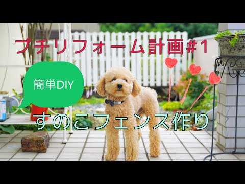 【ガーデニングvlog】簡単DIYすのこでフェンスを作る/クレマチスの開花/