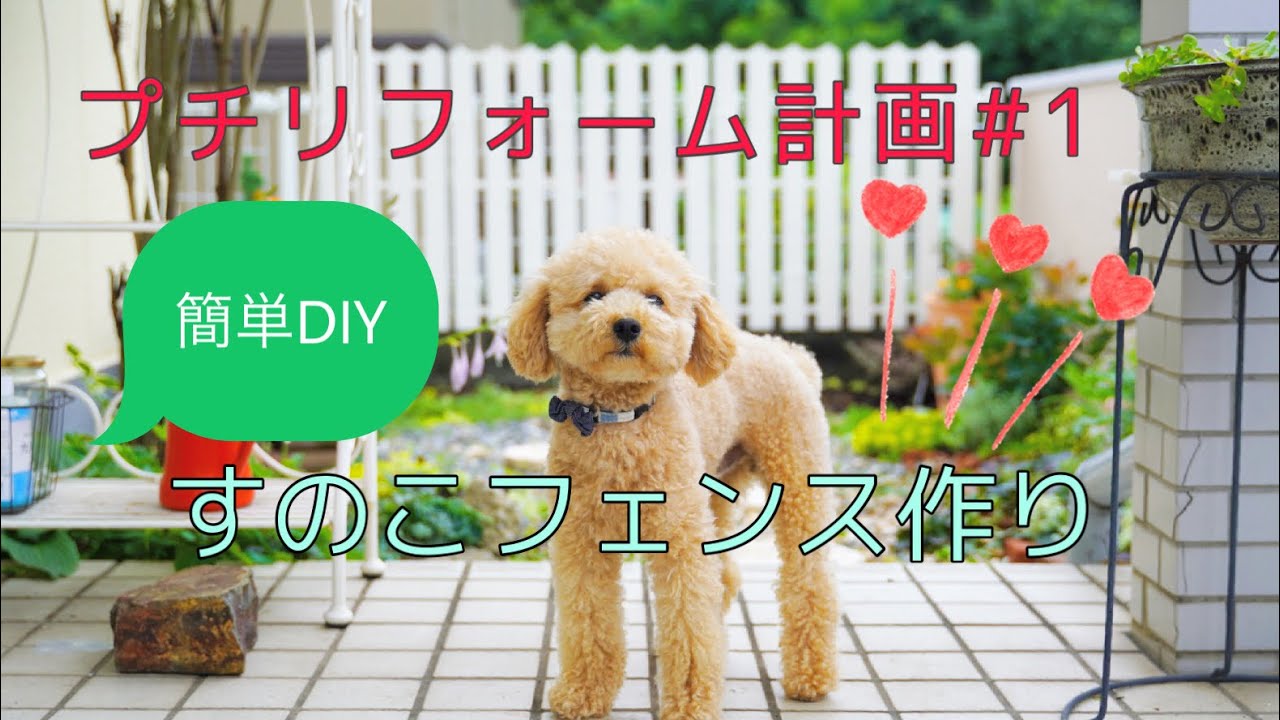 ガーデニングvlog 簡単diyすのこでフェンスを作る クレマチスの開花 Youtube