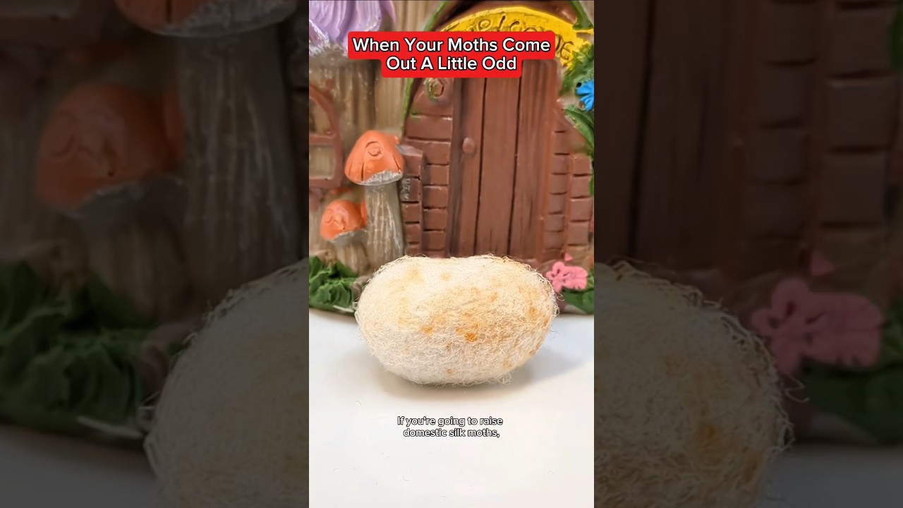 She's still cute and doing well 