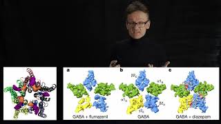 Lecture 06, concept 18: Example biological problems we can target