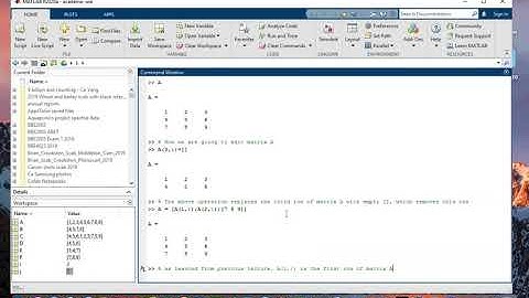 Matlab Demo Editing Matrices