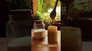 ملعقة واحدة يوميا للتخلص من الشيب و الشعر الابيض ⛔️ #shorts #نباتي #روتين_للشعر