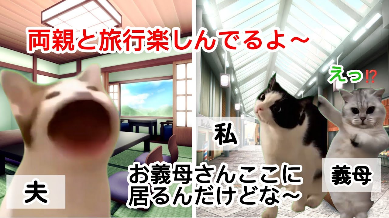 【スカッと猫ミーム】年末に義家族と旅行をするはずが妊娠を理由に中止と思いきや浮気#猫マニ #猫ミーム