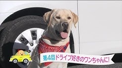 まさはる君が行く ポチたまペット大集合 Youtube まさはる君が行く ポチたまペット大集合 Youtube