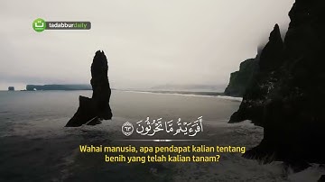 سورة الواقعة 56 القارئ هاني الرفاعي