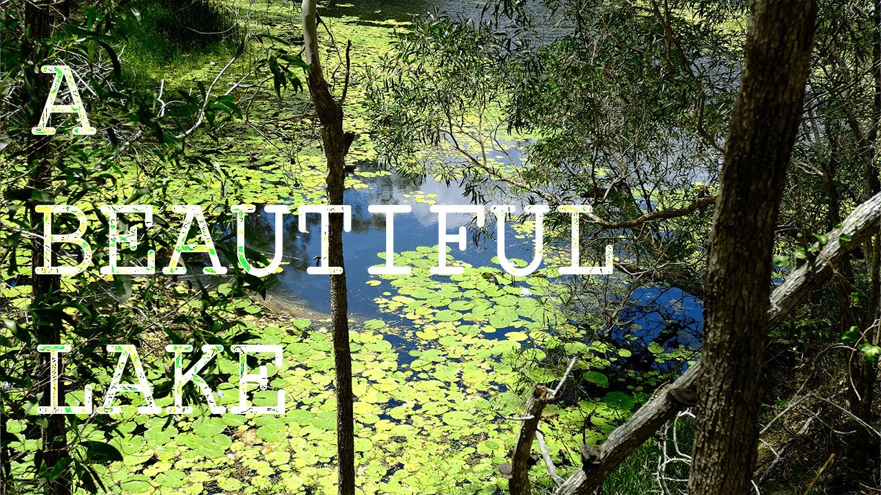 The Beauty of Lake Manchester 4K | Fourth-Oldest Dam in Queensland |