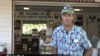 Clark Family Orchard - GJSentinel.com Agritourism Video