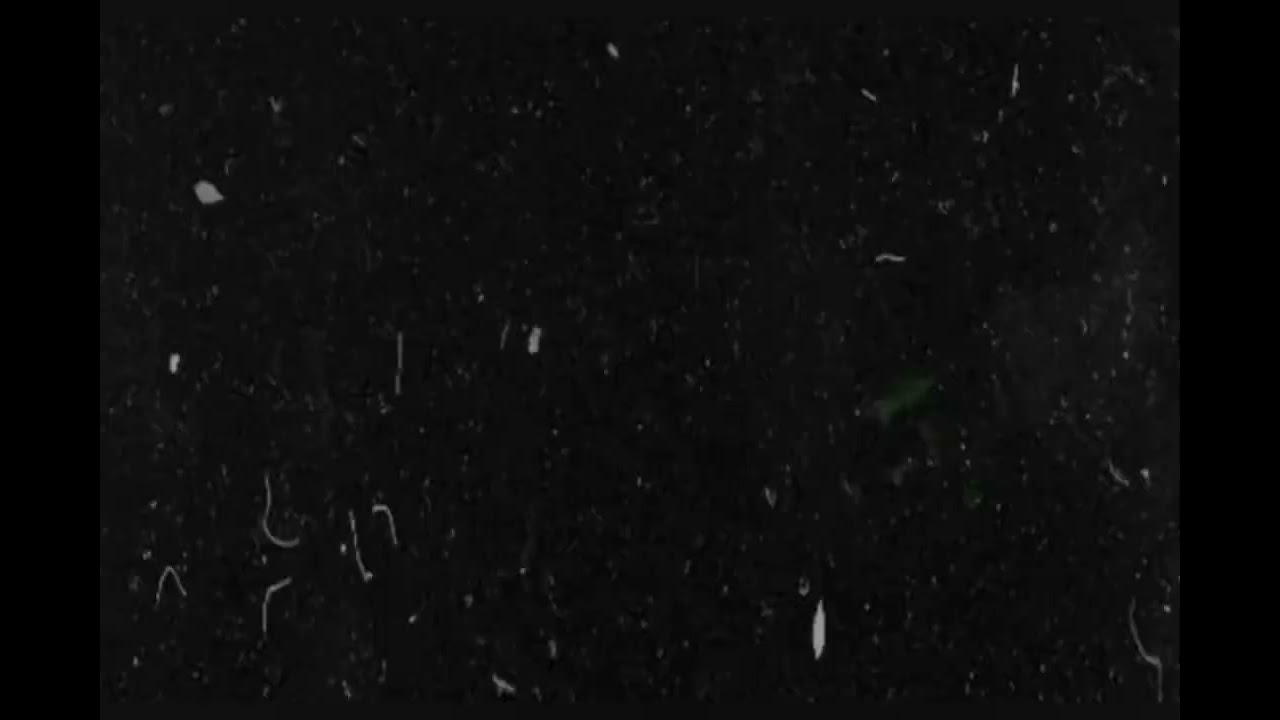 Князь мира сего - Эдик Русский. 