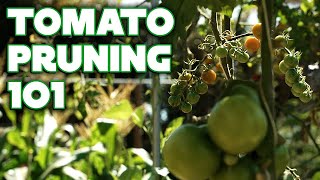 How to Prune Tomatoes, No Matter How You're Growing Them