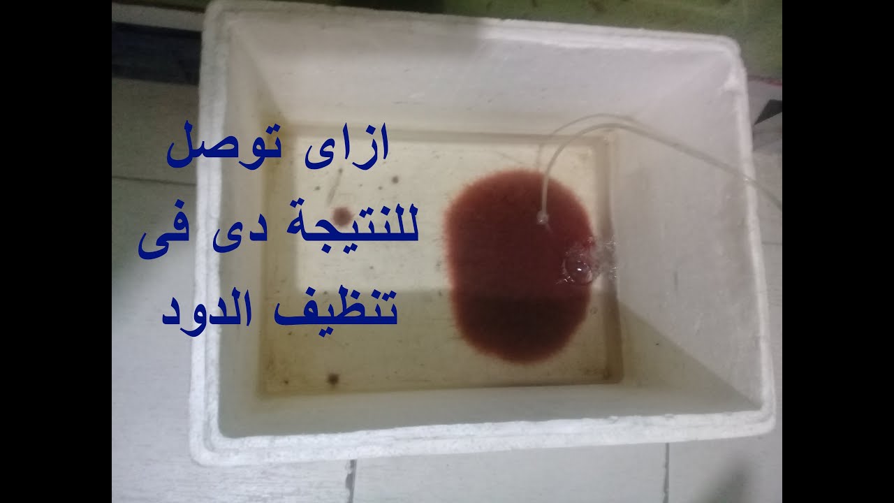 اسهل طريقة للتعامل مع الدود الحي ... غذاء الأسماك