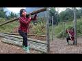 CEO Trieu Nhat found the abandoned land, cut bamboo, and built a house with bamboo pillars.
