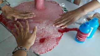 LPHS Science Month Celebration 2019 - Volcano Experiment