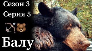 Охота с луком: добыл крупного медведя с 20 метров наконечником Монтек