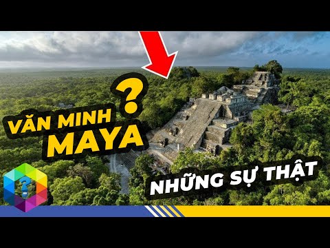 Video Những Sự Thật Thú Vị về 